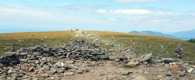 20170719_145853 copy