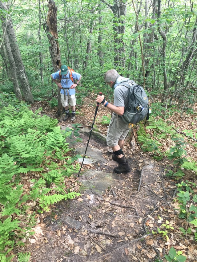 52155989881__FDC8E702-1DED-434A-9F3E-32FD6D0A1E1D