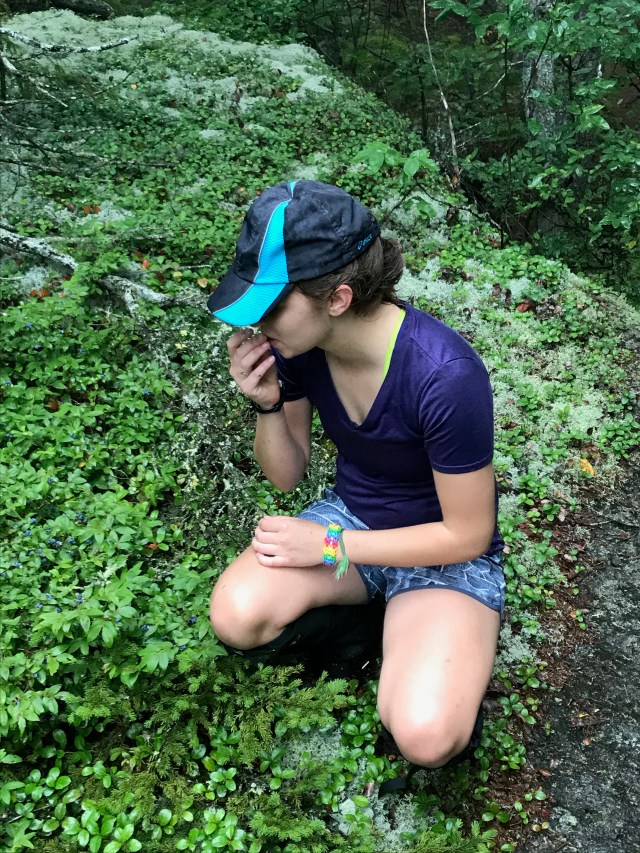 C43EFCA5-41EA-4789-8274-5BA46E3F50D7