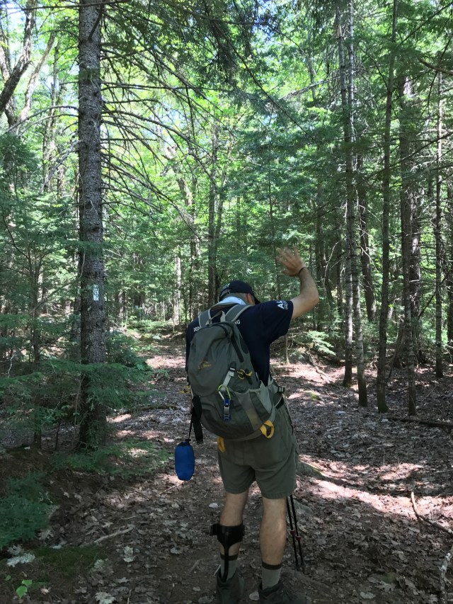 EEA49F9D-4DCA-4602-9DB2-D8CE9018A2AA