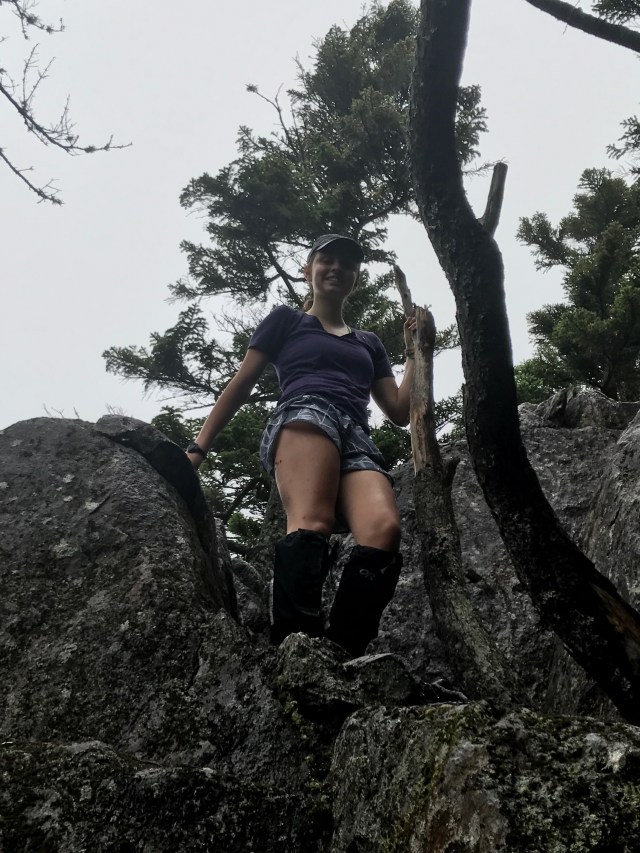 F8336902-2D2D-4ED2-B5F9-00AC403AAC38